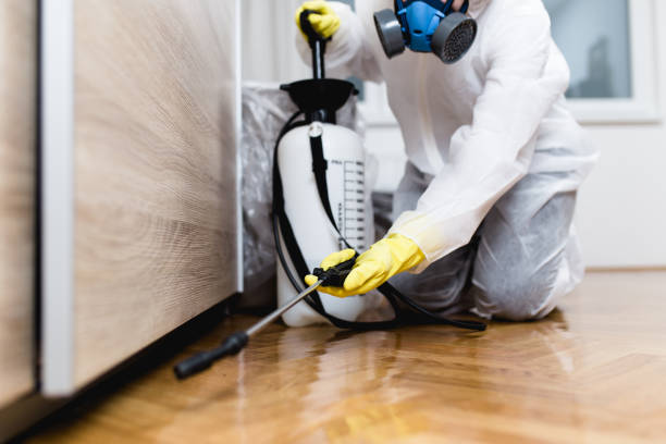 Best Flea Control Services  in Schler Park, IL