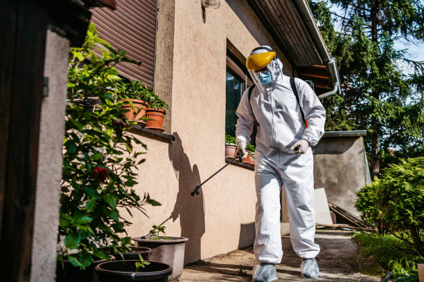 Best Affordable Pest Control Services  in Schler Park, IL
